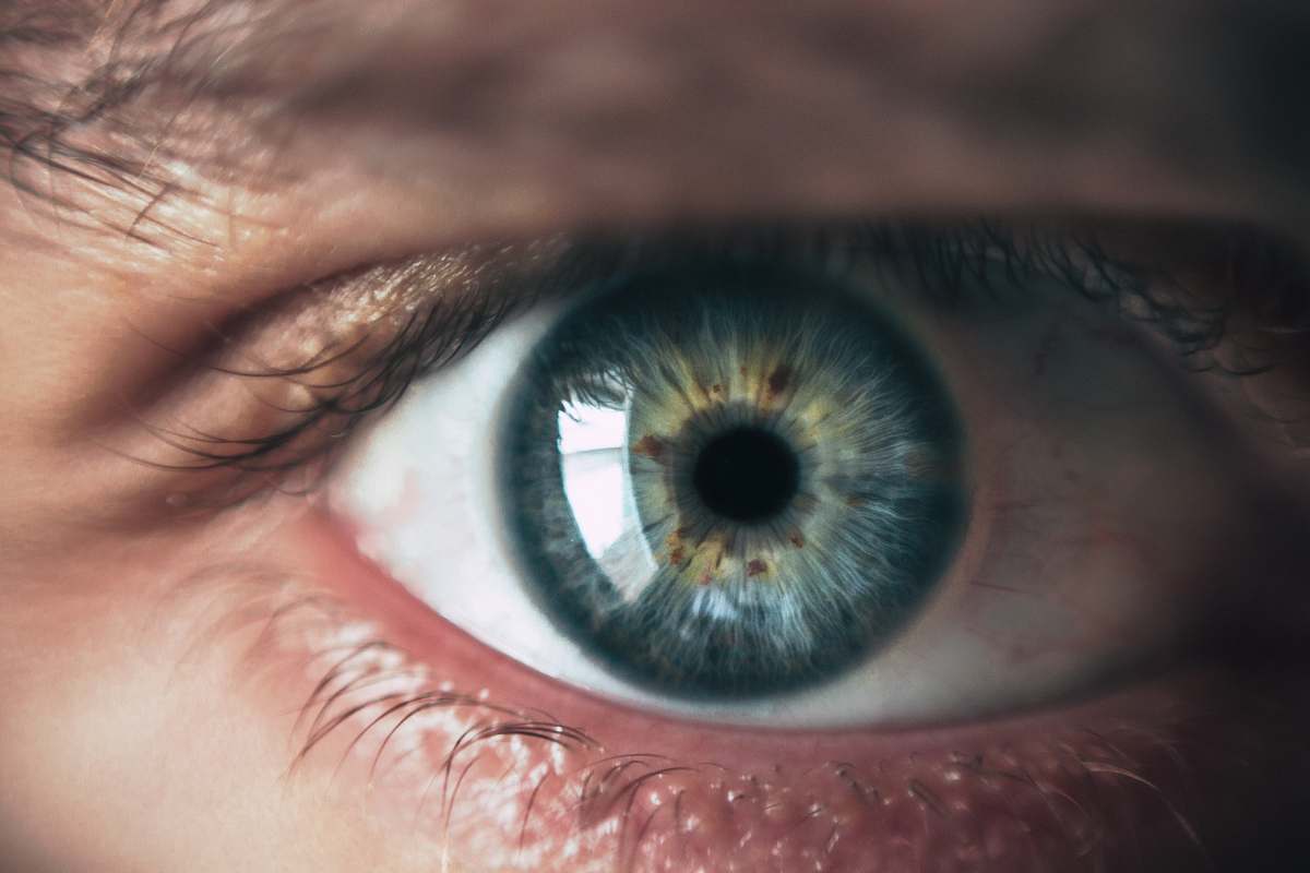 contact lens close-up photography of human eye eye